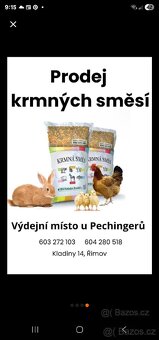 Kralici na dokrmení - 2