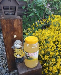 Včelí med. Mateří kašička. Propolis. - 2