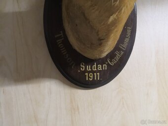 Trofej gazely - 2