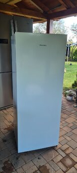 Chladnička Lednička HISENSE RL313D4AWE - 2