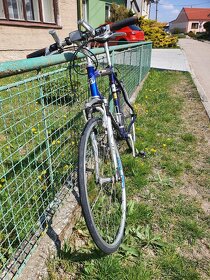 Kolo Author Zenith - 2