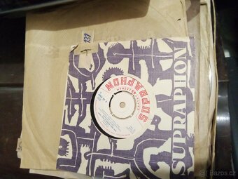 Gramofonové desky LP, SP - 2