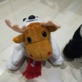 Plyšáci různí - 2