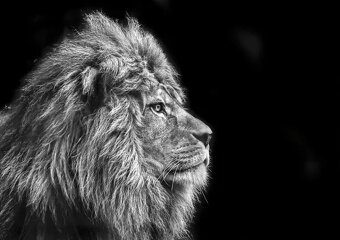 Skleněný obraz - 2