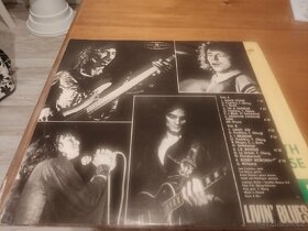 gramofonové desky různých rockových kapel - 2