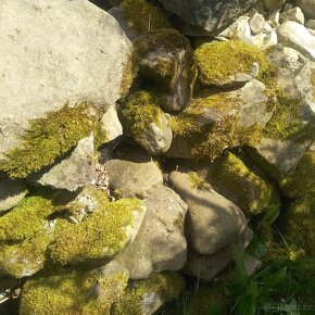 Krásné velké kameny na skalku či vodní jezírko atd.. - 2