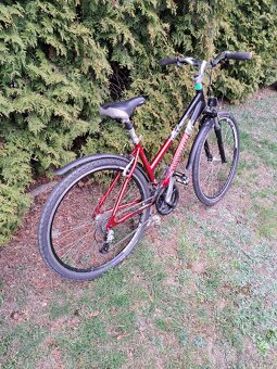 Dámské kolo MAXBIKE 65 TB - 2