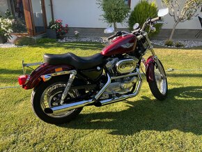 Harley Davidson sportster 883 TOP - 2
