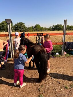 Pony klisna - 2