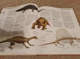 Kniha DINOSAUŘI - 2