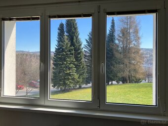 Prodej bytu 3+1, 68 m², ul. U Školky - 2