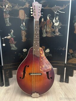 Masivní Americká Mandoliná Kay - 2