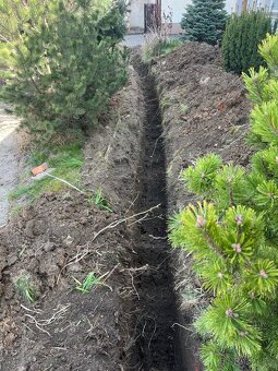 Výkopové práce a rizikové kácení stromů - 2
