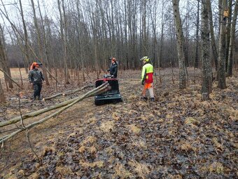 Železný kůň Lennartsfors - Švédsko - 2