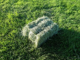 Seno malé balíky - 2