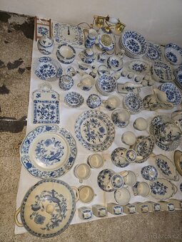 Prodam megasadu originalniho cibulaku - 2