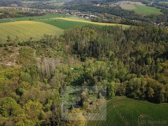 Prodej lesy, 4 369 m² - Chocerady, ev.č. N08074 - 2