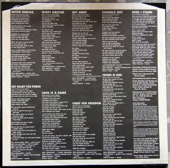 LP deska - Grave Digger - Witch Hunter - 2