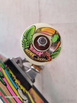 Skateboard Santa Cruz Winkowski - 2