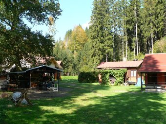 Dovolená v přírodě 🏖️🌳 - 2
