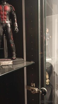 Sideshow - Vitríny BESTA - 2