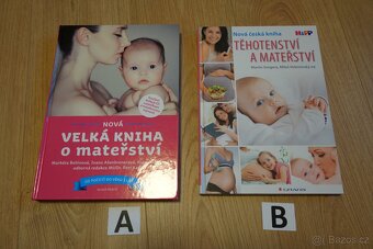 Kniha těhotenství a mateřství - 2