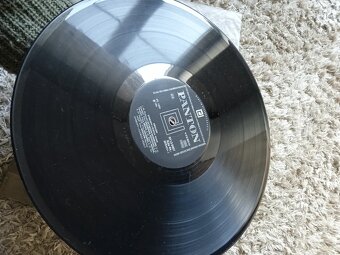 LP - Synkopy:Křídlení - 2