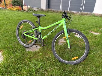 Amulet Tomcat 24 - 2