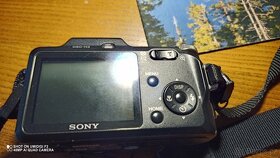 sony dsc h3 - 2