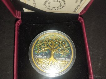 Střibrná investiční pozlacená mince 1oz. - 2