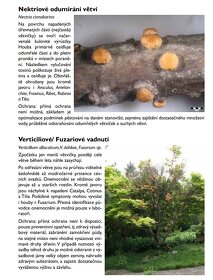 Metodika ochrany veřejné zeleně před škodlivými organismy - 2