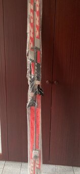 Běžky 190cm - 2