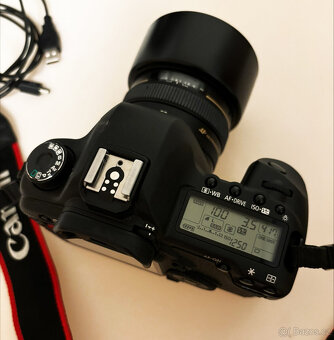 Prodám zrdcadlovku Canon 5D Mark II - 2