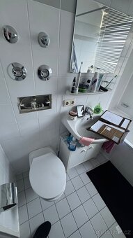1× Instalatér, 1× Obkladač | Rekonstrukce koupelen v Německu - 2