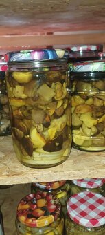 Sušené houby i zavařené na kyselo - 2