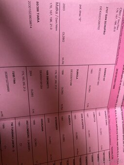 3 letá ČT klisna - 2