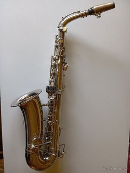 Nabídka saxofonu k prodeji - 2