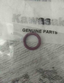 Čidlo teploty Kawasaki Er-6n - 2