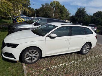 Pronájem Škoda Oktavie - 2
