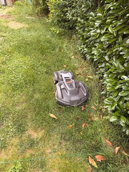 Husqvarna Automower 435X AWD - 2