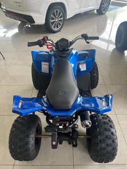Linhai ATV 110 4x2 EFI CE - 2