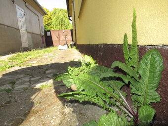 Prodám rodinný dům - 2