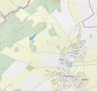 Podíly na lesních pozemcích, k. ú. Křepiny - 2