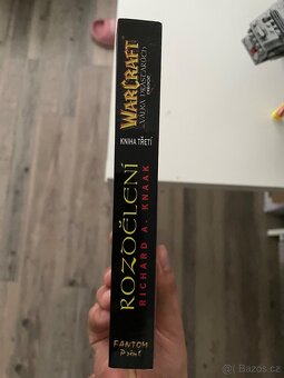 World of Warcraft válka prastarých rozdělení - 2
