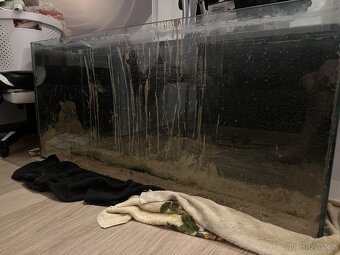 Terarium - 2