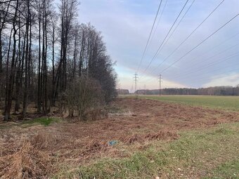 Prodám pozemky na k.ú. Černá u Bohdanče - 2