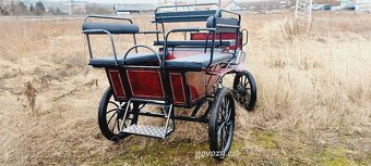 Bryčka, kočár, vagoneta, maraton, koňský povoz - 2