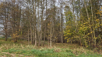 Pozemek Nová Ves u Liberce - 2