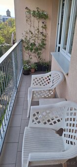 Zahradní křesla - 2