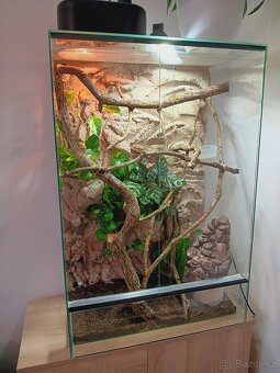 Terárium po chameleonovi - 2